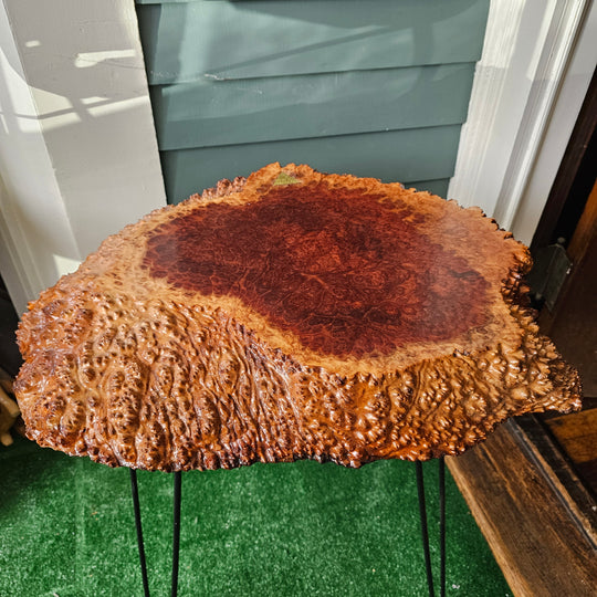 End table "floating" live edge Australian Red Mallee burl