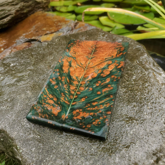 double dye stabilized redwood lace burl scales