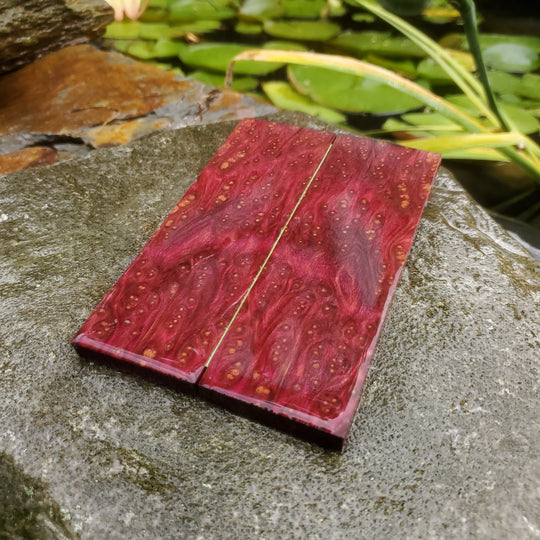 dye stabilized redwood lace burl scales