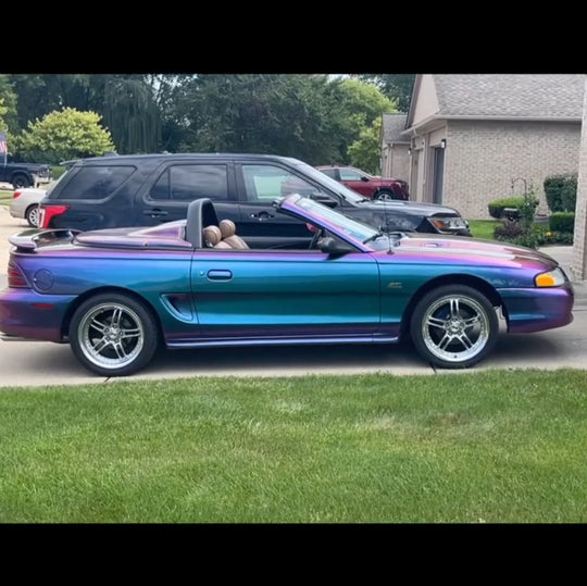 Georgianna mustang commission :)